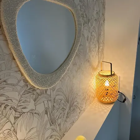 Maisonnette Proche Gare & Centre L Jardin L Clim Appartement Castres (Tarn)