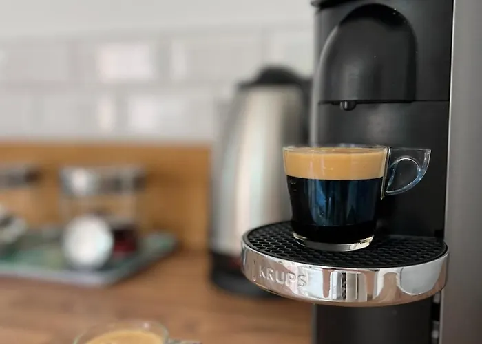 Maisonnette Proche Gare & Centre L Jardin L Clim * Castres (Tarn)