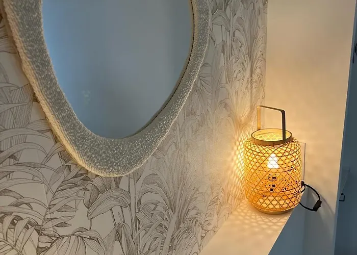 Maisonnette Proche Gare & Centre L Jardin L Clim Apartamento Castres (Tarn)